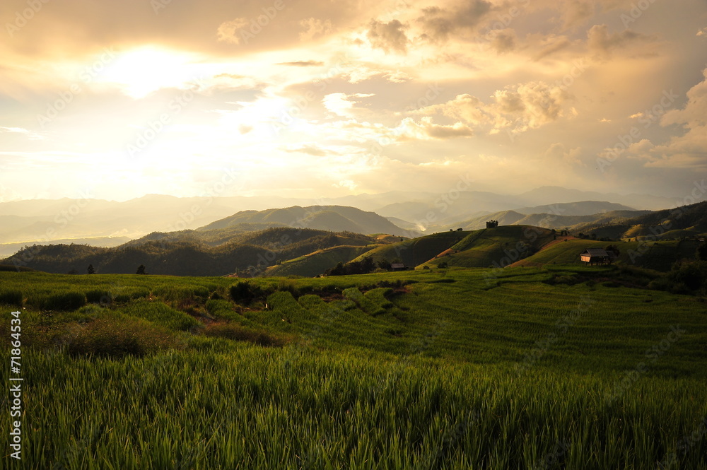Fototapeta premium Rice Terraced Fields on Mountains