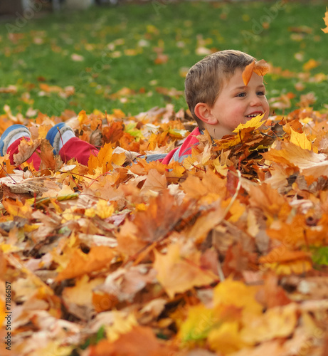 Boy in leaf pile