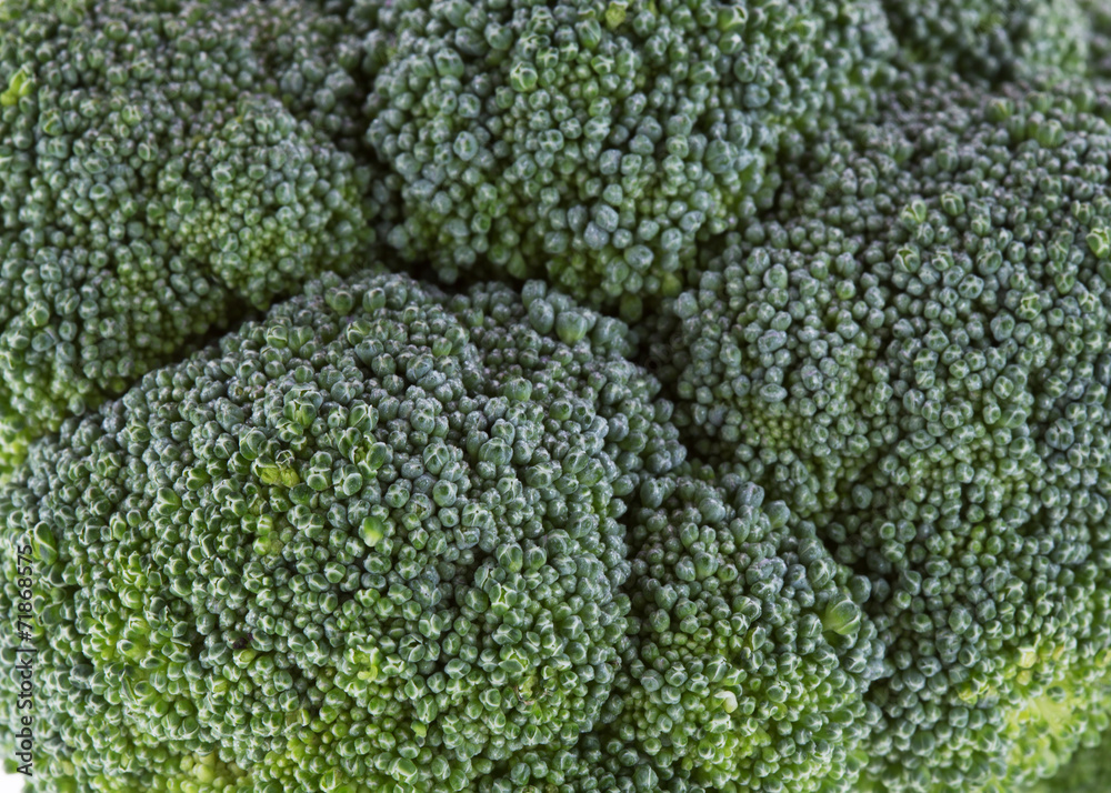 close up green vegetable broccoli
