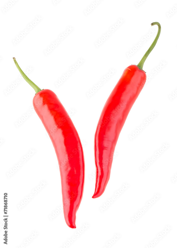 pepper red isolated