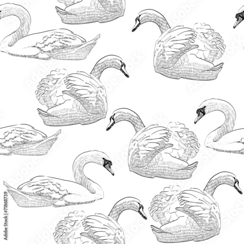 sketch swan