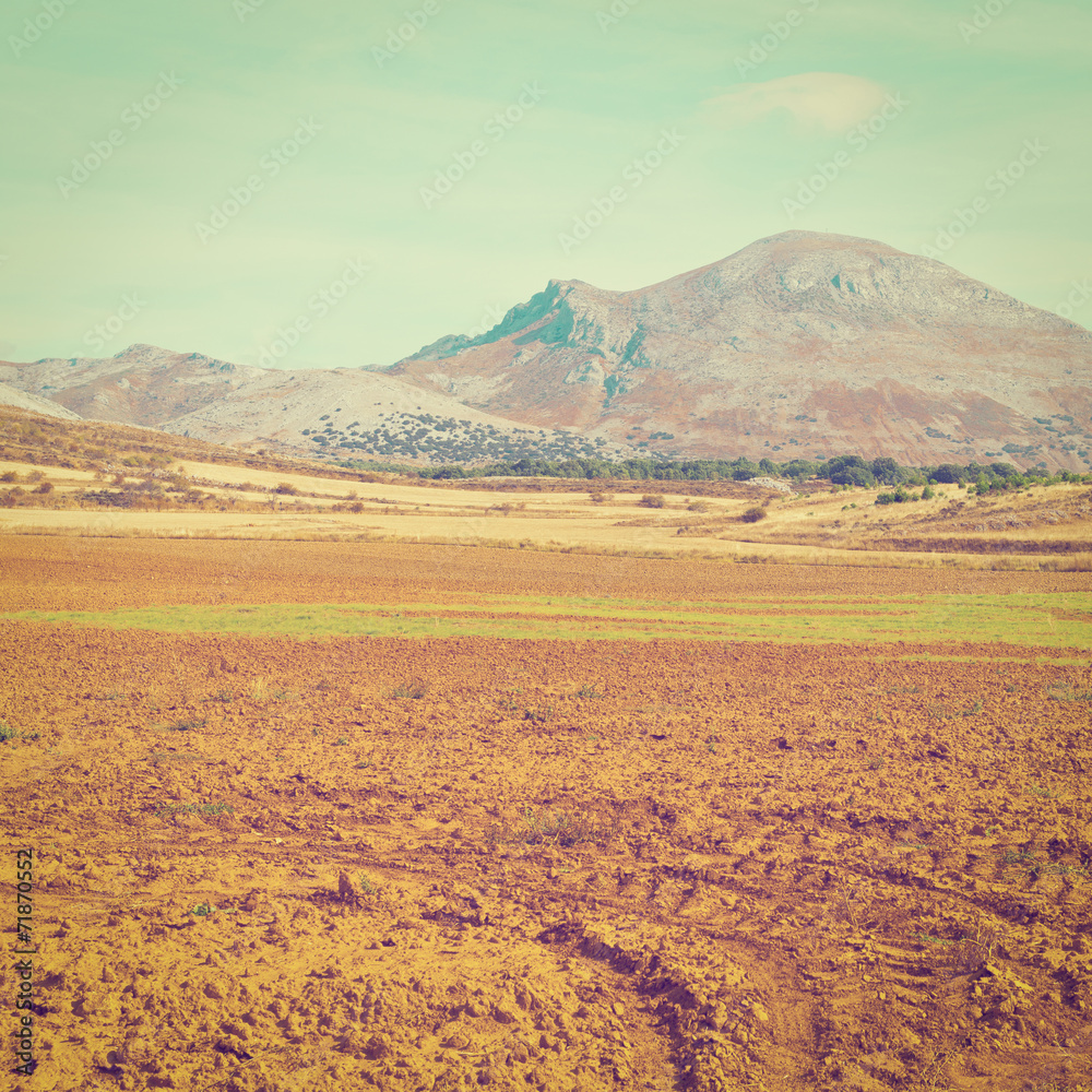 Naklejka premium Plowed Fields