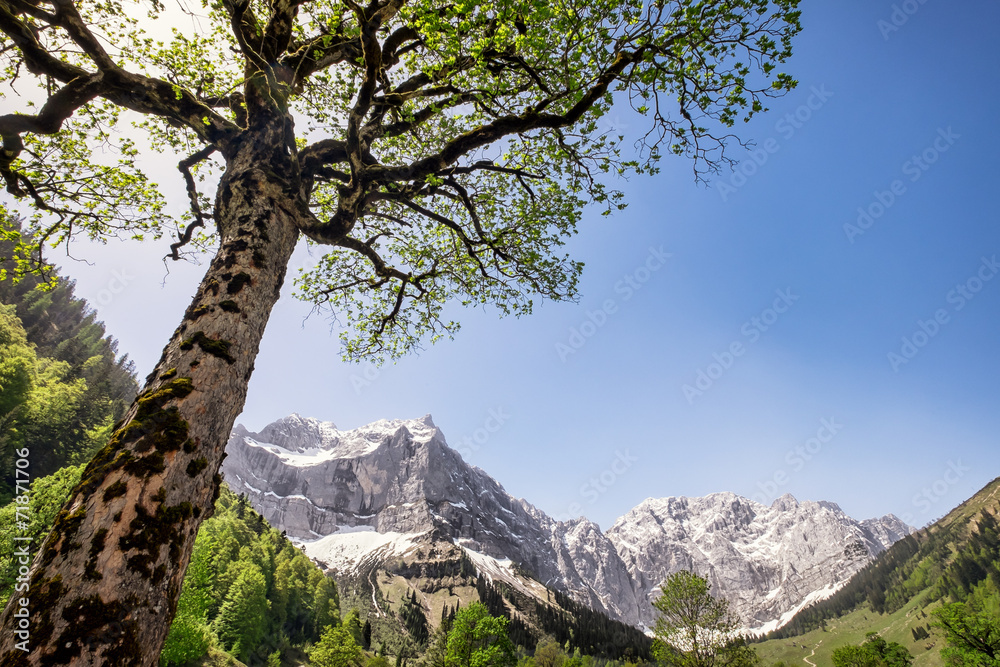 Obraz premium karwendel