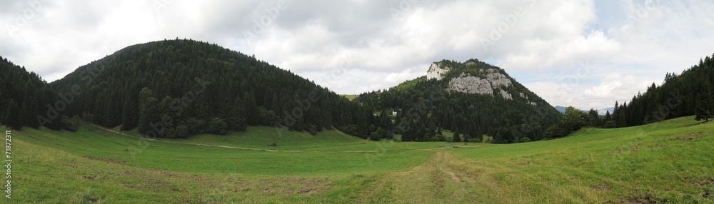 pasture near Malino Brdo in Velka Fatra mountains in Slovakia