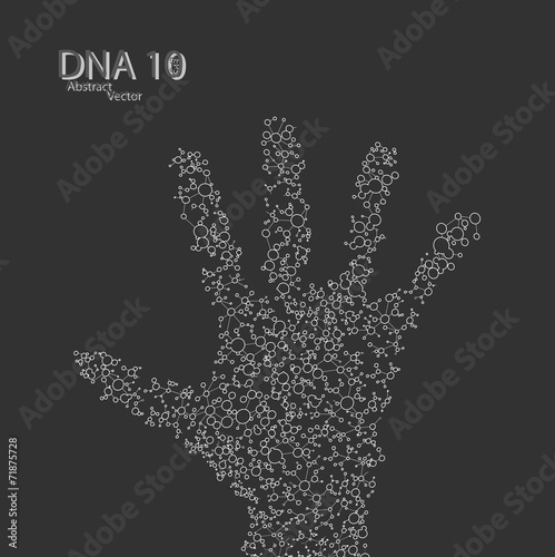 Molecular structure in the form of hand