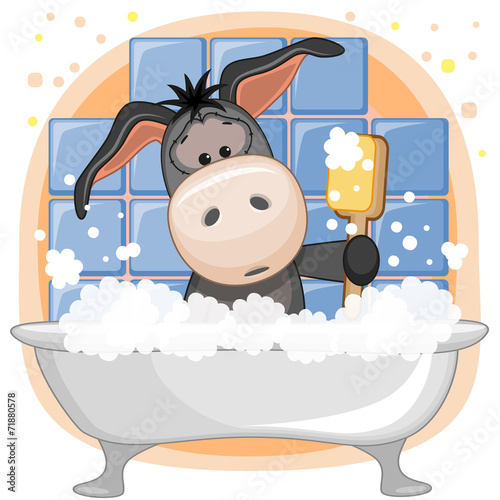Cute Donkey