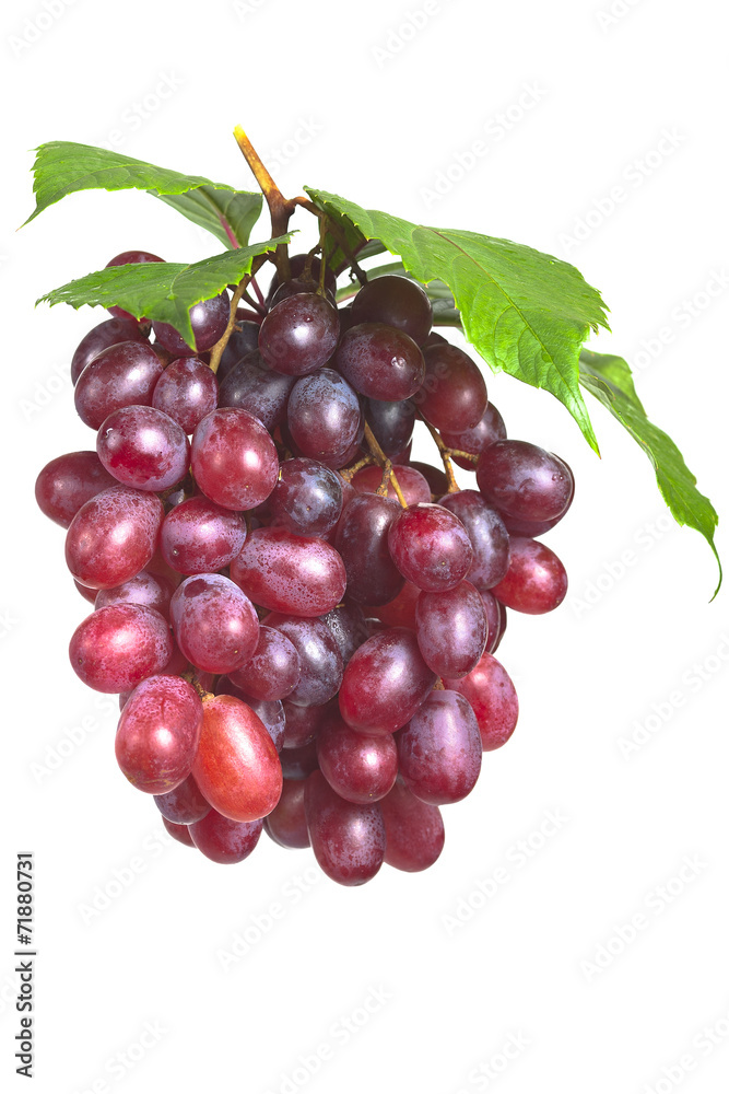 Bunch ripe, fresh red grapes with leaves isolated on a white bac