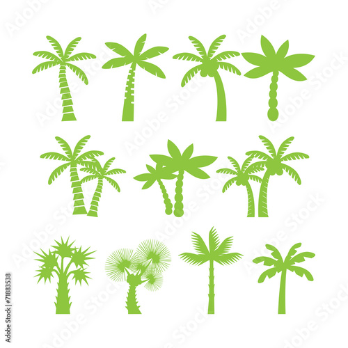 palm tree icon set,  vector eps10