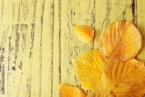 Leaves on yellow wooden background