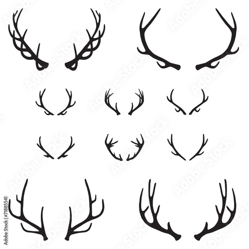 Fényképezés Set of antlers, silhouette, vector