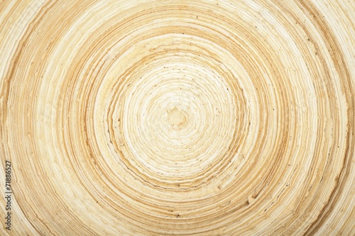 texture of modern wood circle rings photo