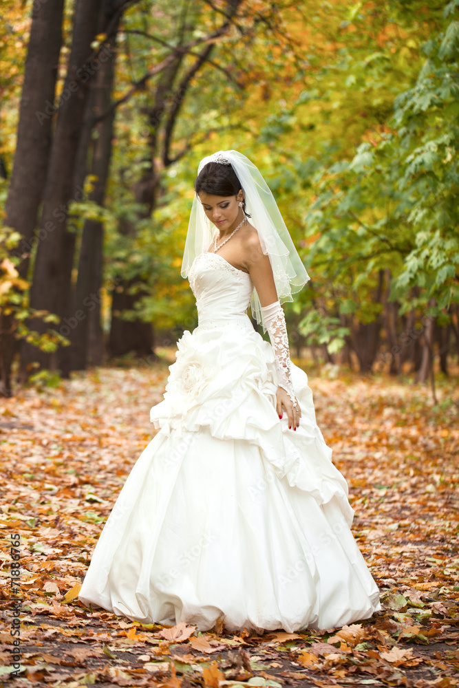 Portrait of a beautiful smiling bride