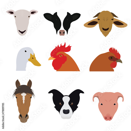 Set of Farm Animals and Pets Vectors and Icons