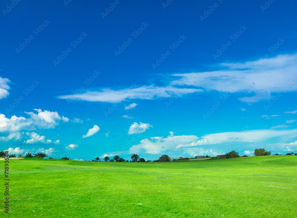 Obraz premium Grass Fields Of Green