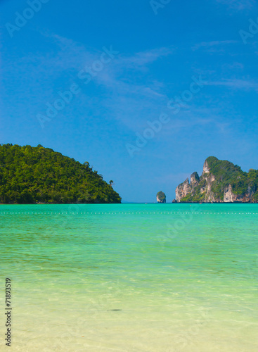 In Sunny Paradise Heavenly Blue