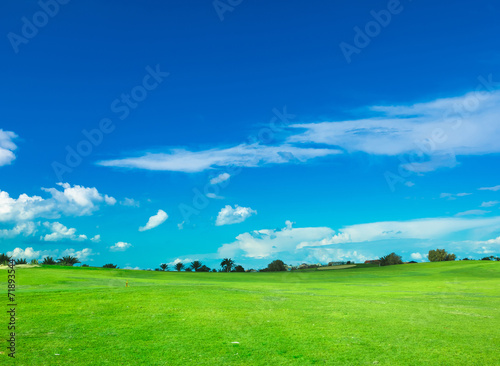 Grass Fields Of Green