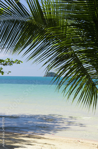 Fototapeta Naklejka Na Ścianę i Meble -  Idyllic Island Palm View