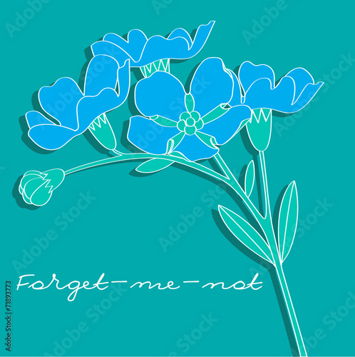 forget-me-not