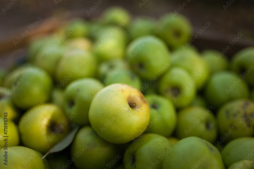 Green apples in box