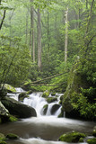 Relaxing scenic in the Great Smoky Mountains