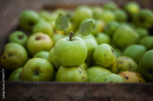 Green apple with leafs on appels background  in box