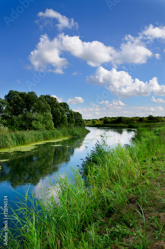 Summer landscape with a river