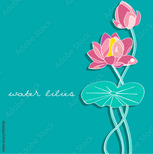 water lilies