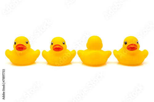 Cuadro en lienzo cuatro patitos de goma