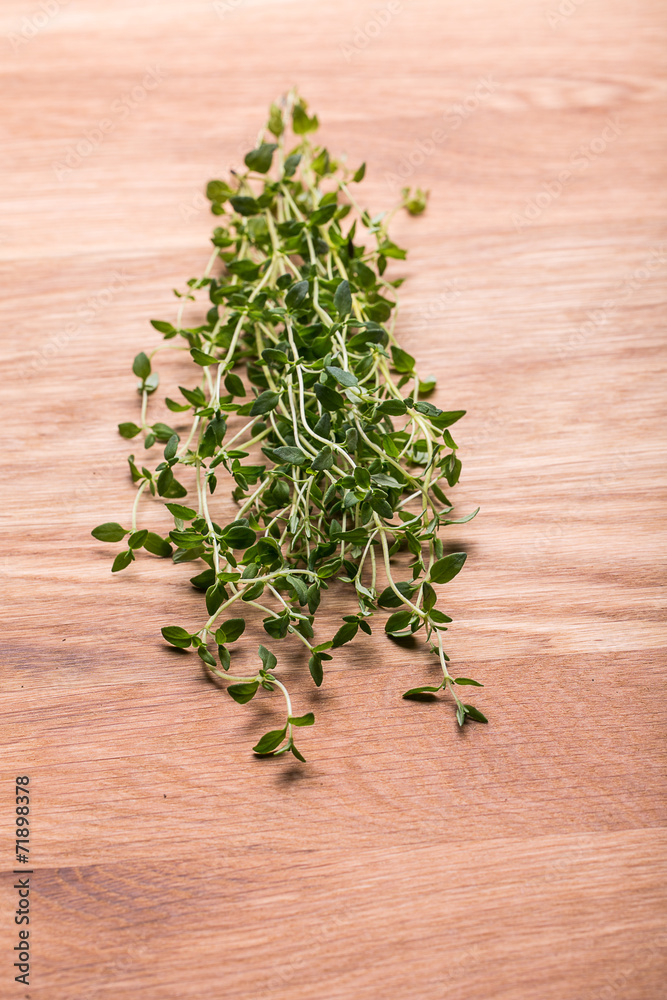 Thyme , Selective focus 