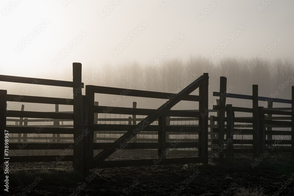 Fototapeta premium Paddock gate sunrise silhouette