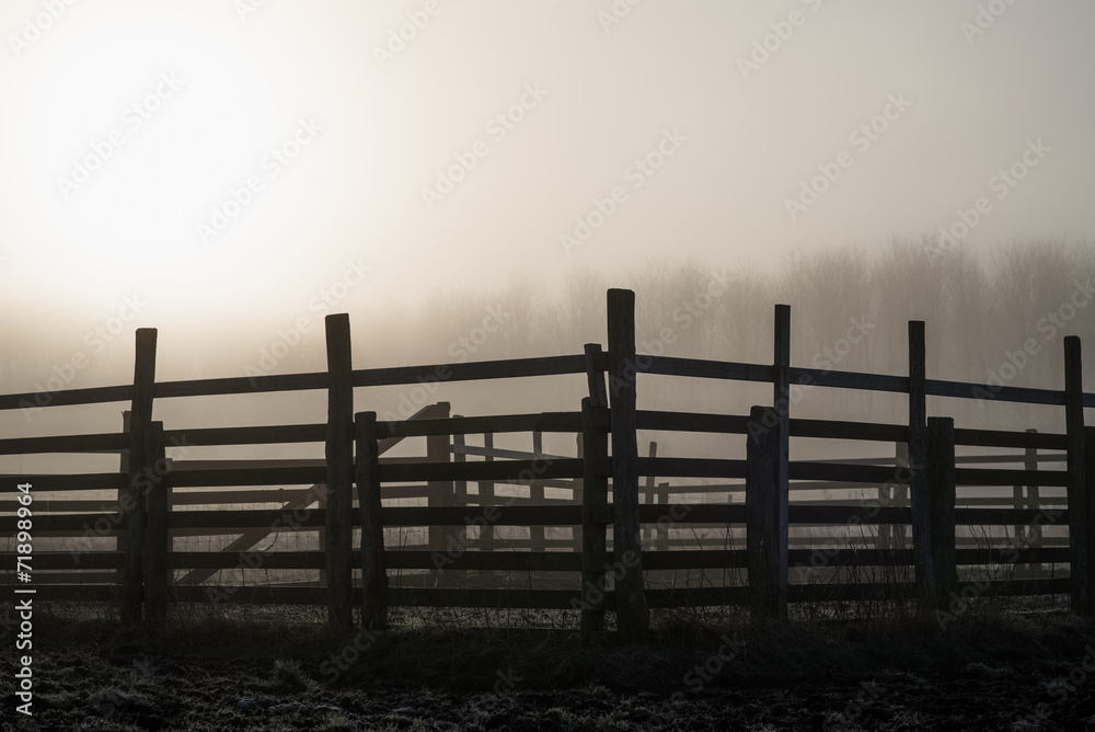 Fototapeta premium Paddock sunrise silhouette