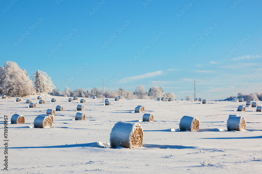 Naklejka premium Hay bales in winter