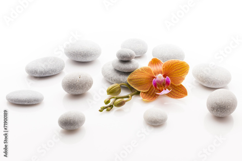 Spa stones.
