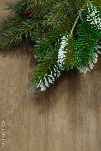 wooden background with fir branches, vertical