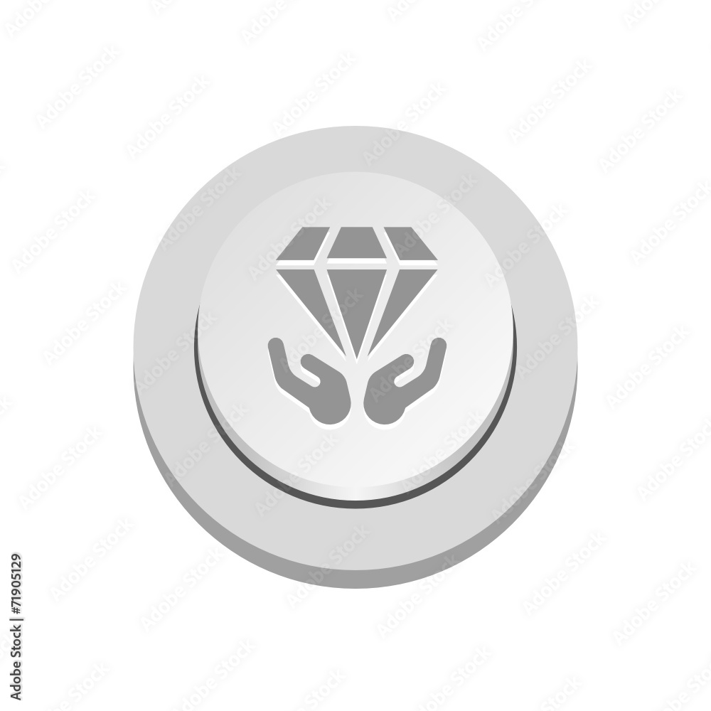 Vector iButton Vector iButton