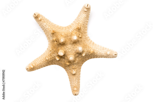 Sea Star Isolated On White