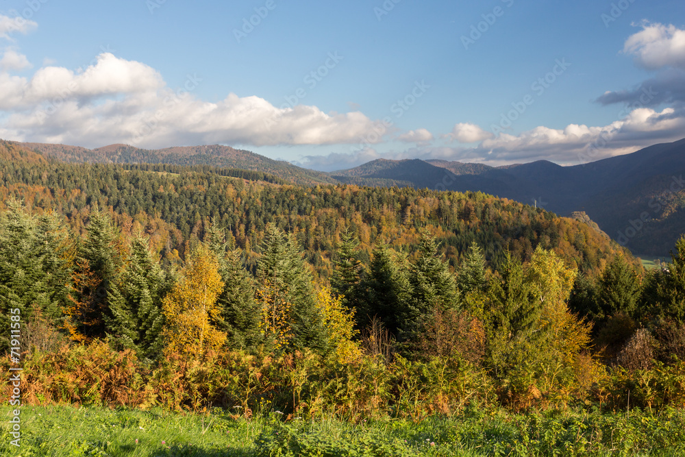 Forêt et sommets des Vosgses en autonme