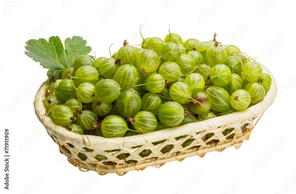 Gooseberry