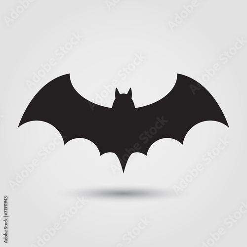 bat