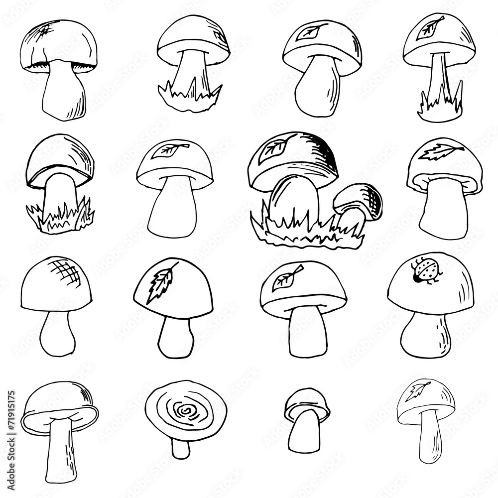 hand-drawn mushrooms set hand-drawn mushrooms set