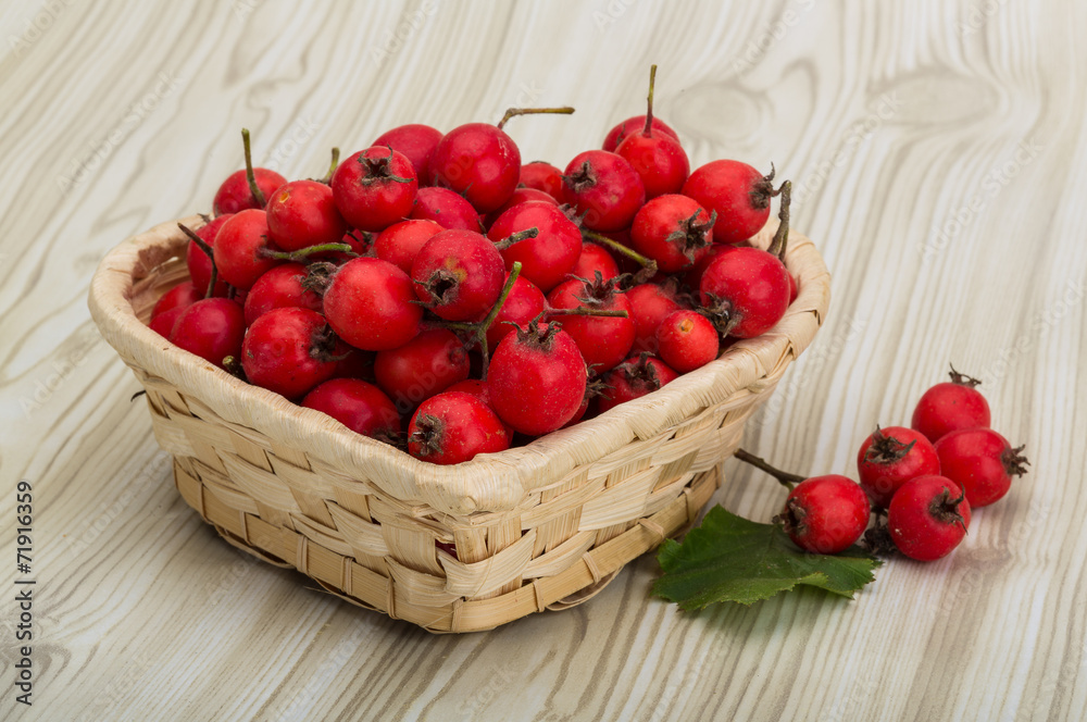 Hawthorn Hawthorn