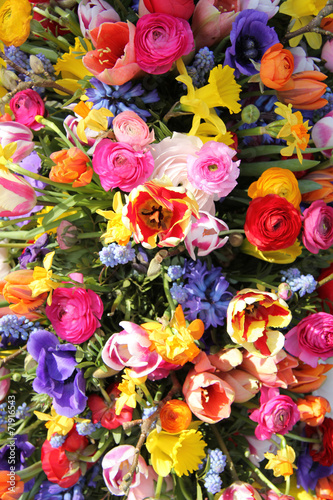 Spring flowers in bright colors