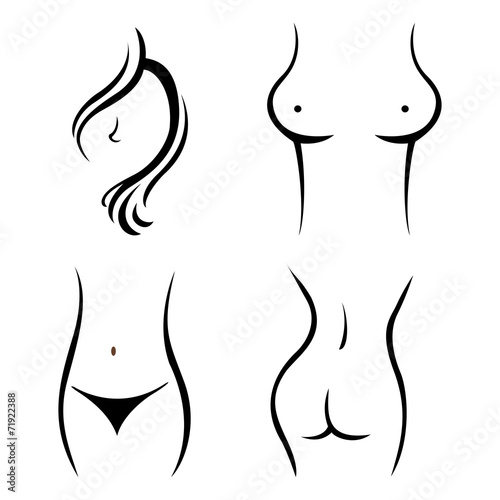 young woman body parts vector