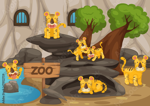zoo and tiger vector