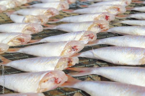 Drying fish at the beach photo