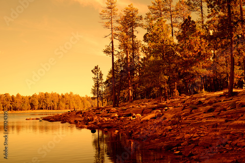 Golden light forest lake