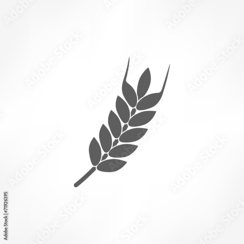wheat icon