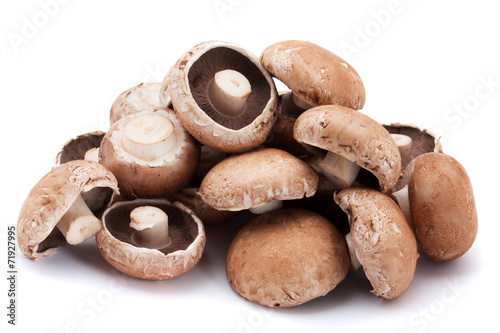 Portabello mushrooms photo