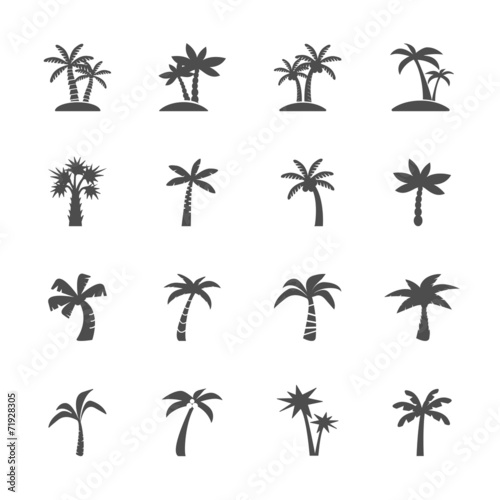 coconut tree icon set, vector eps10