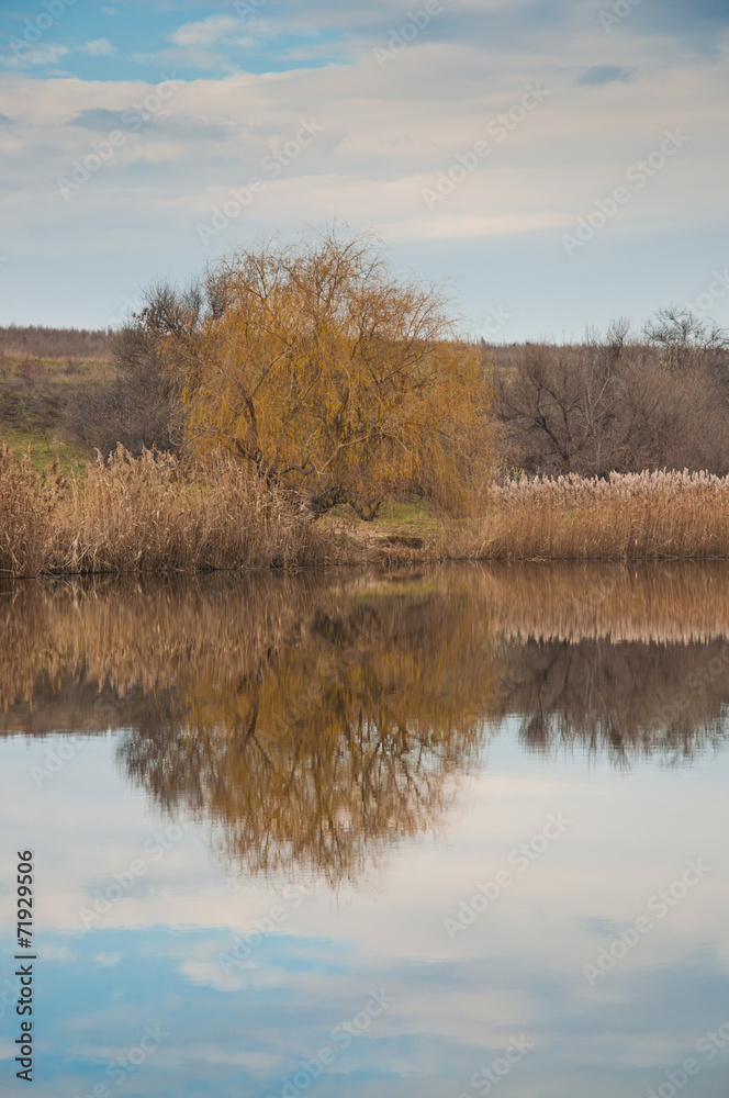 autumn landscape